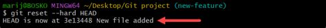 Git Reset Local Branch to Remote A Simple Guide