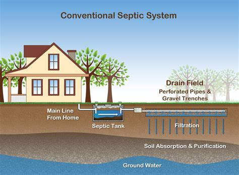 residential septic system layout