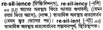 resilience meaning in bangla