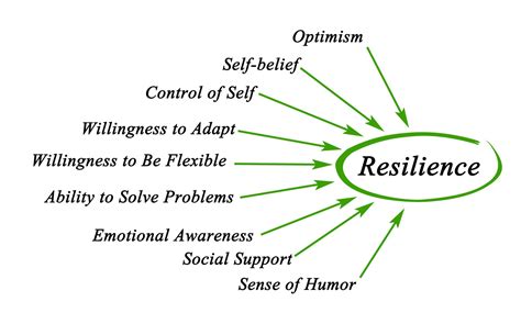 resilience strategies job search