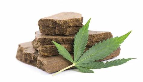 Resine De Canabise Importante Saisie Résine Cannabis Par Les Douaniers
