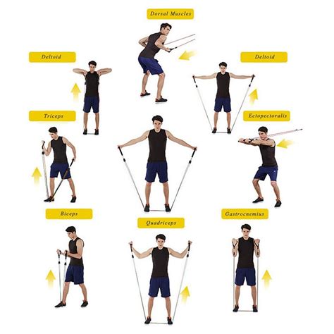 Resistance Band Pull Day Exercises
