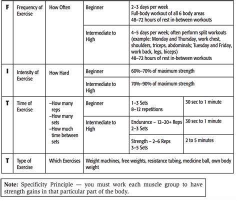 resistance training program examples