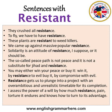 resistant meaning in english with example