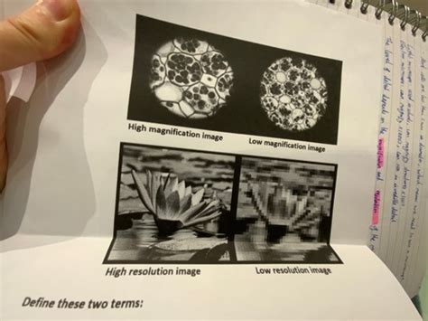 Resolution Microscope Definition Quizlet