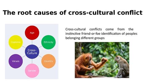 resolving cultural conflicts