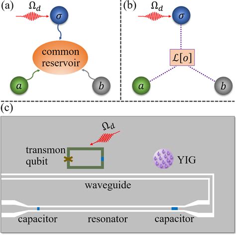 Resonator Qubit