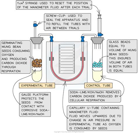 respirometer for fermentation process