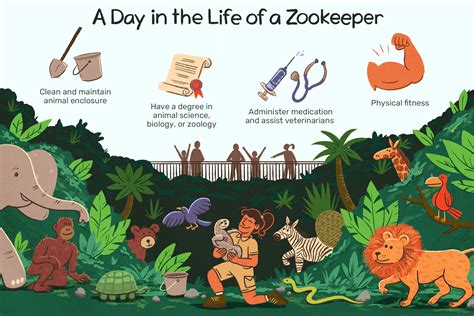 Responsibilities Of A Zookeeper