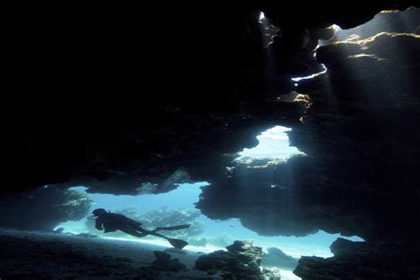 responsible dive operator