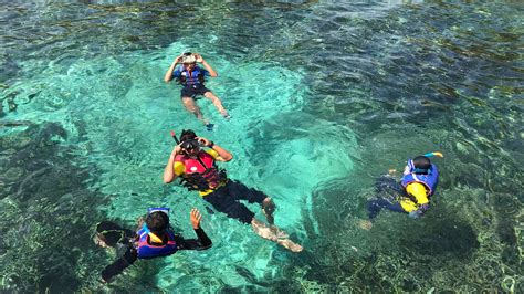 responsible snorkeling