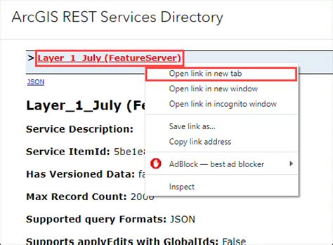 Rest Endpoint Arcgis