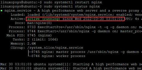 restart nginx command line