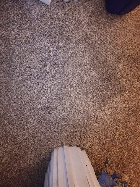 Restore Carpet