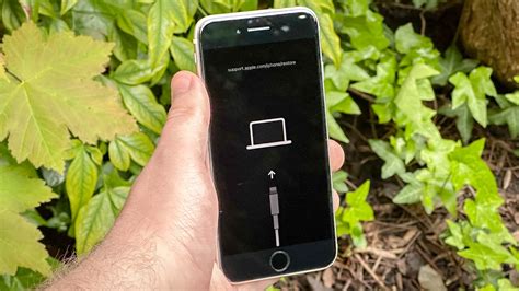 Restore iPhone