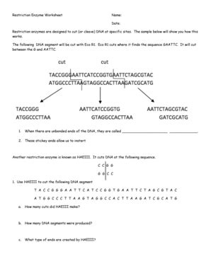 Restriction Enzymes Worksheet Answers Ivuyteq