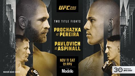 results from ufc 295