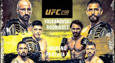 results of ufc 290