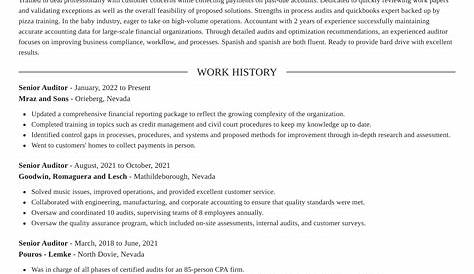 Audit Senior Resume Samples | QwikResume