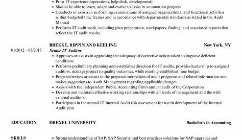 3 IT Auditor Resume Examples for 2023 | Resume Worded