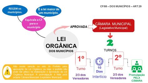 resumo lei organica municipal