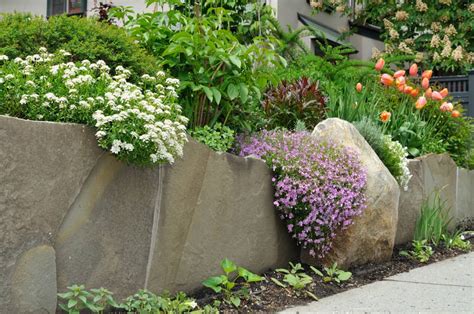 11 Stunning Cascading Plants for Retaining Walls and Hanging Baskets