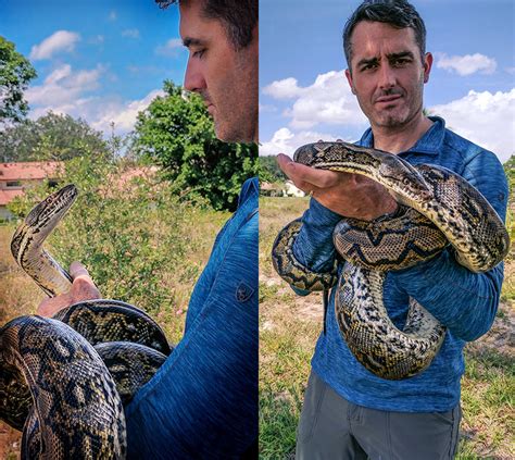 Reticulated Python Constricting Technique