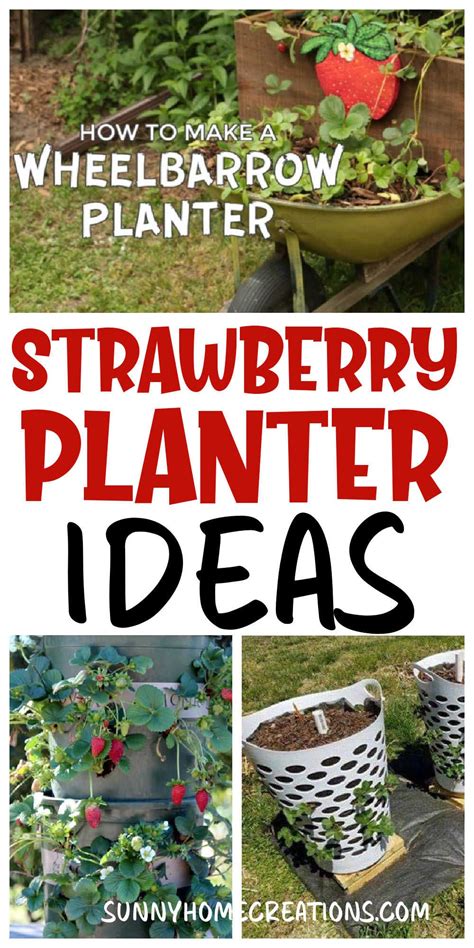 Reuse Strawberry Baskets