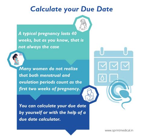 reverse due date calculator based on ovulation