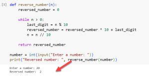 reverse number using function in python