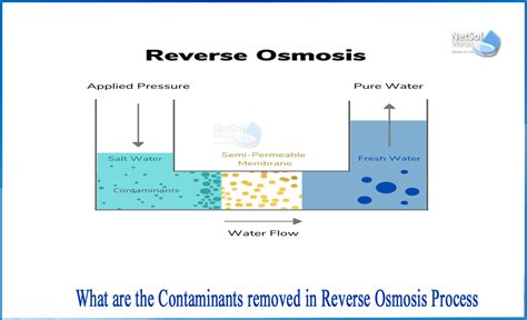 Reverse Osmosis Remove Chemicals