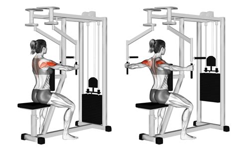Reverse Pec Deck Alternative (9 Substitutes For Rear Flys)