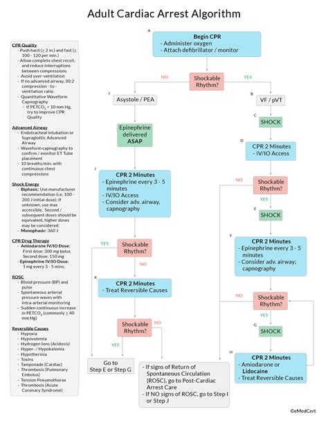 review acls algorithms