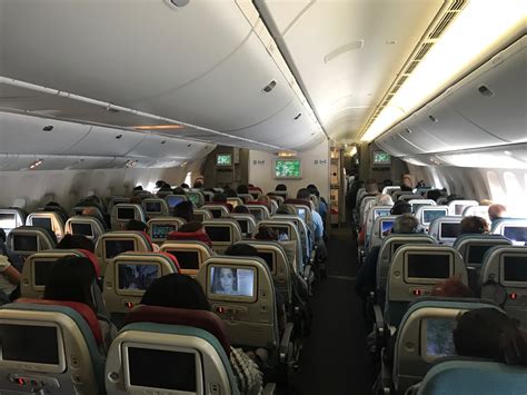 reviews of turkish airlines economy