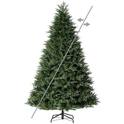 Reviews Of Vickerman Trees