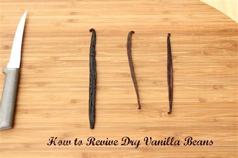 Revive Dried Out Vanilla Beans