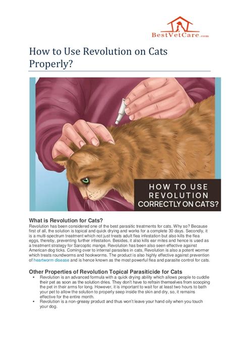 revolution for cats application instructions