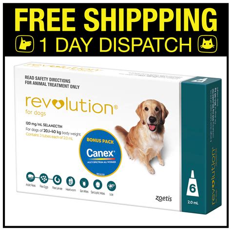 revolution for dogs 6 pack