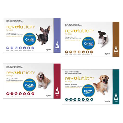 revolution for dogs instructions