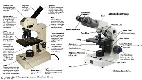 Rheostat Control Knob Microscope Function