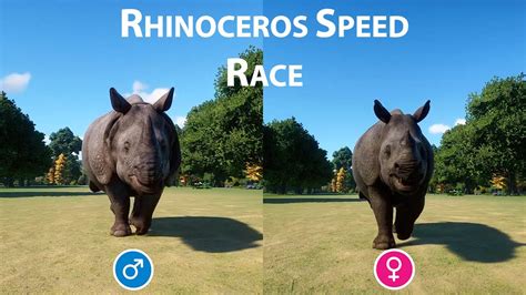 rhino speed