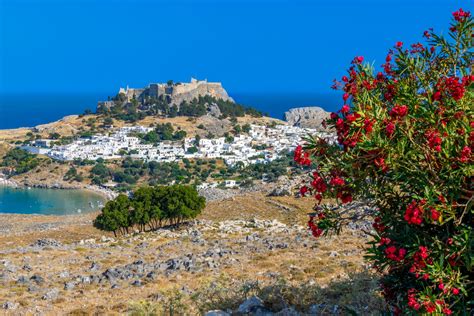 Rhodes Overview