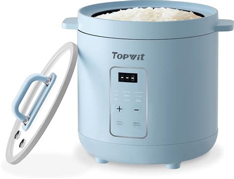Rice Cooker Two Cups