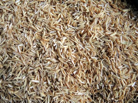 rice husk meaning