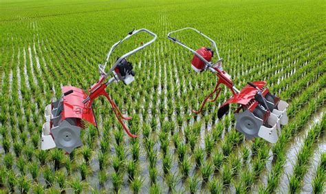 Rice Weeding Machine