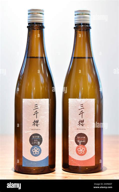 Rice Wine And Sake Difference