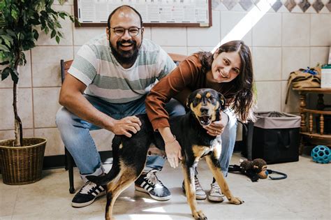 Richardson Animal Shelter’s visitation room helps people connect with