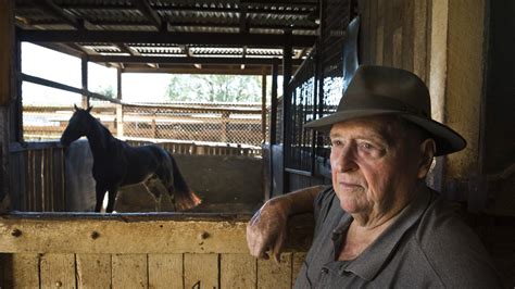 richie stephenson horse trainer