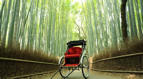 Consider Alternatives