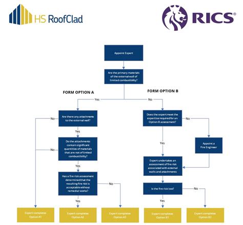 rics guidelines ews1